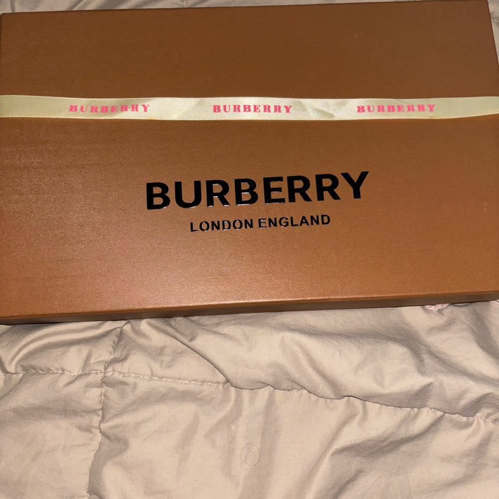 Burberry Blush and Taupe Check Scarf - Picture 7 of 7